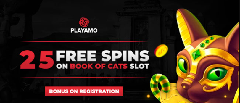 playamo 25 free spins codes